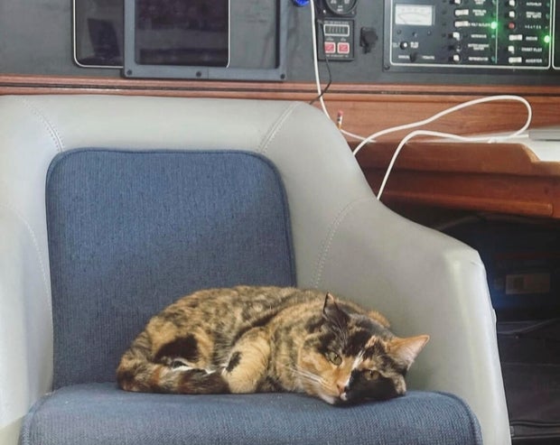 Sailing With Phoenix 